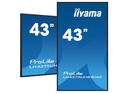 מסך שילוט דיגיטלי IIYAMA 43" PROLITE 4K ANDROID IPS