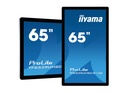 מסך מגע IIYAMA 65" PROLITE 4K OPEN FRAME PCAP 50PT TOUCH