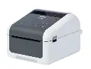 צילום מסך 2025-04-01 102515.webp