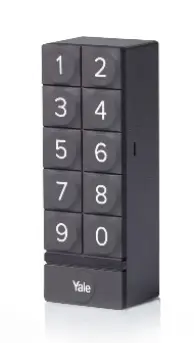 צילום מסך 2025-05-27 132354.webp