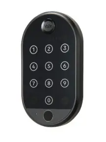 צילום מסך 2025-05-27 135137.webp
