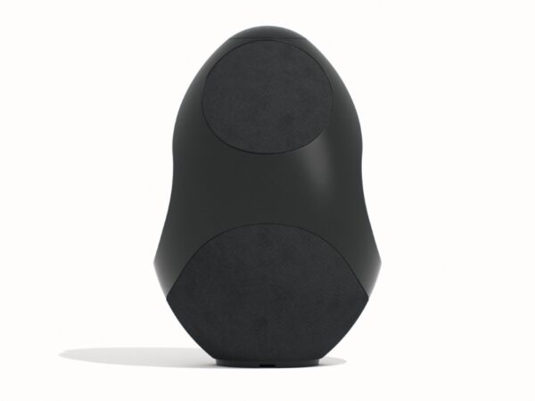  רמקול עוצמתי מעוצב אלחוטי Pantheone I Pantheone I Active Speaker 