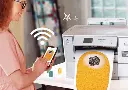 צילום מסך 2025-07-24 103450.webp