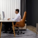  כיסא Boss Comfort Q7 (דלעת) 