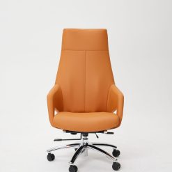  כיסא Boss Comfort Q7 (דלעת) 