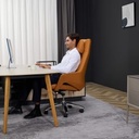  כיסא Boss Comfort Q7 (דלעת) 