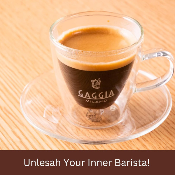  מכונת קפה אוטומטית GAGGIA BESANA 