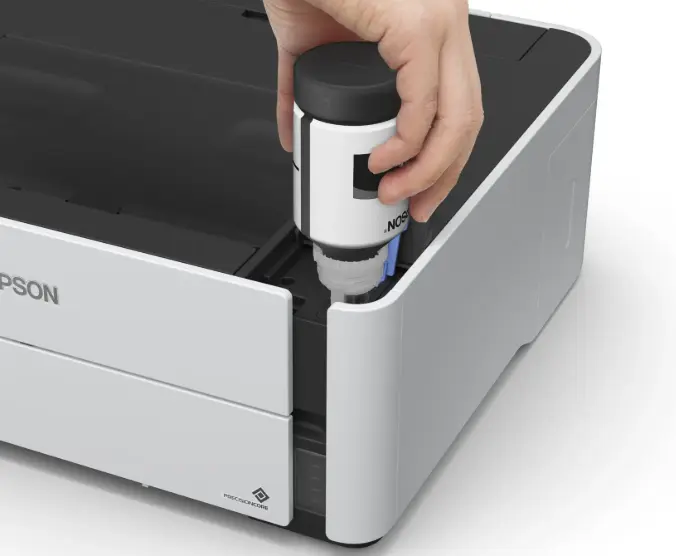 צילום מסך 2025-09-15 152855.webp