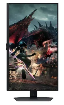 צילום מסך 2026-02-03 145833.webp