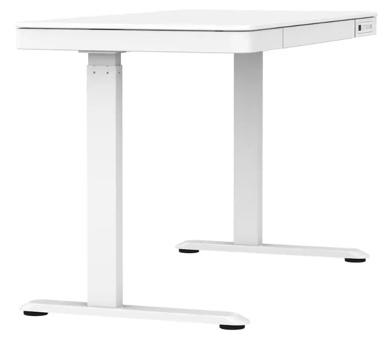 צילום מסך 2026-03-16 130004.webp