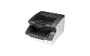 11.webp