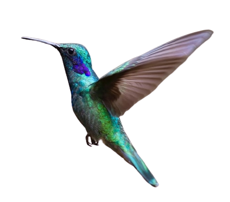 מוצר ניסיון