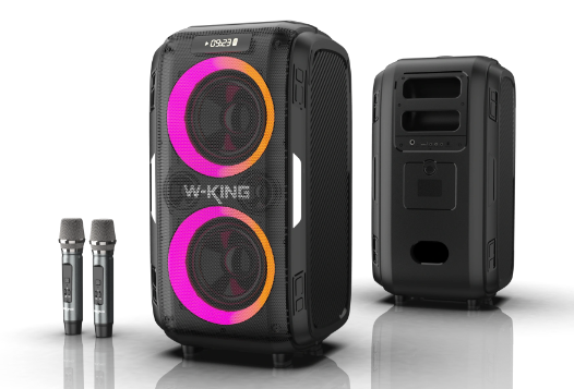 בידורית + 2 מיקרופונים W-KING T9 PRO 120W