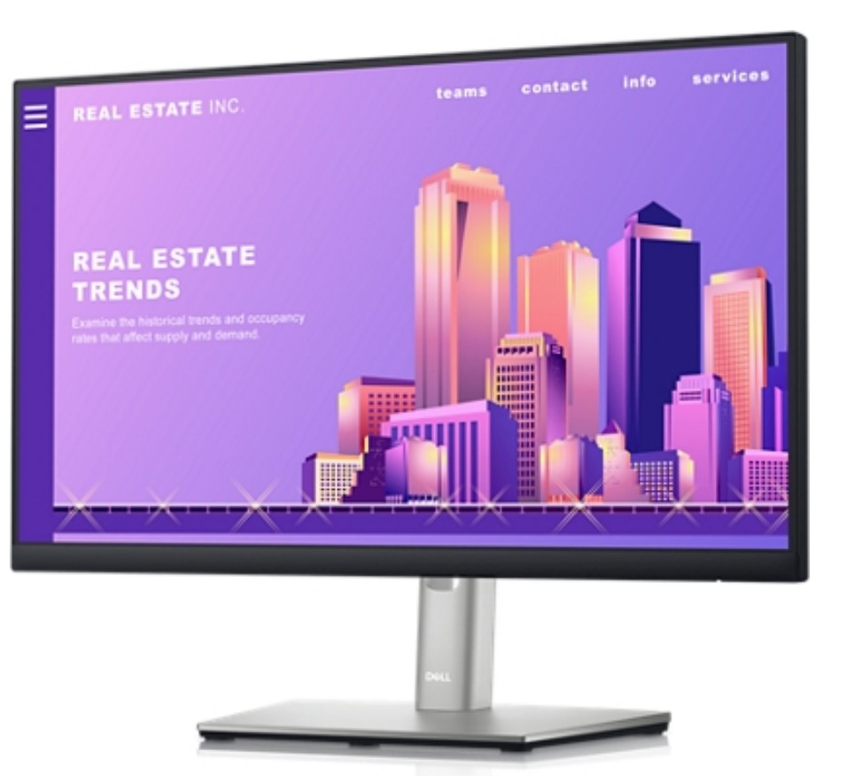 Dell 24 Monitor - P2422H - 60.5cm (23.8")