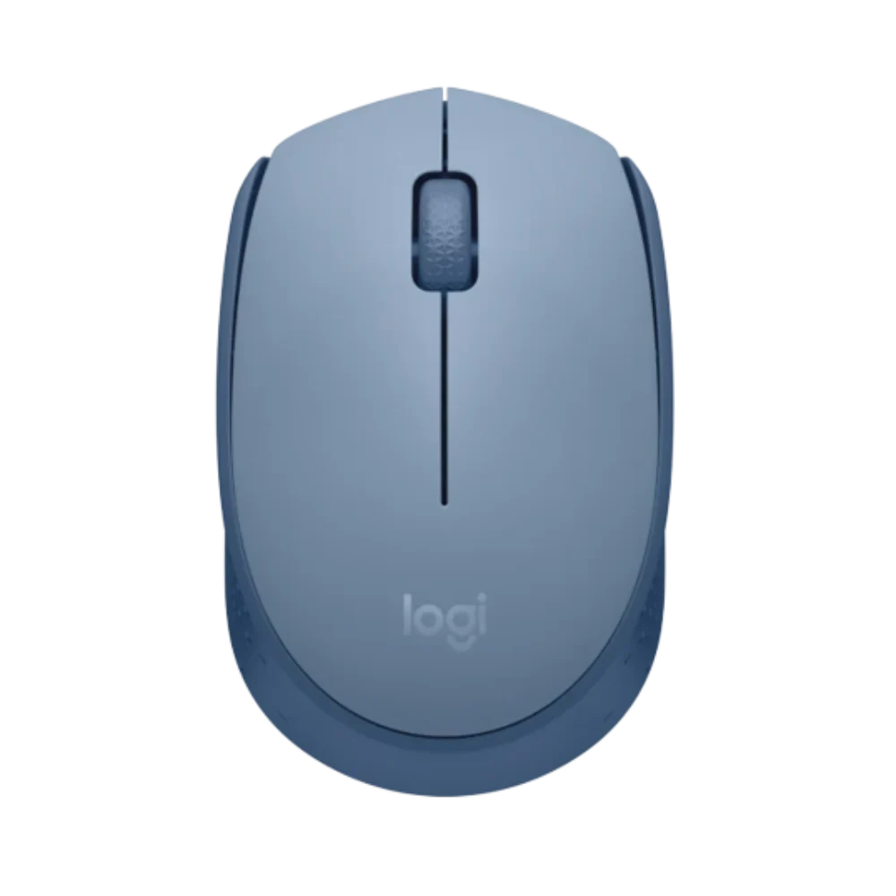 M171 Wireless Mouse-BLUEGREY