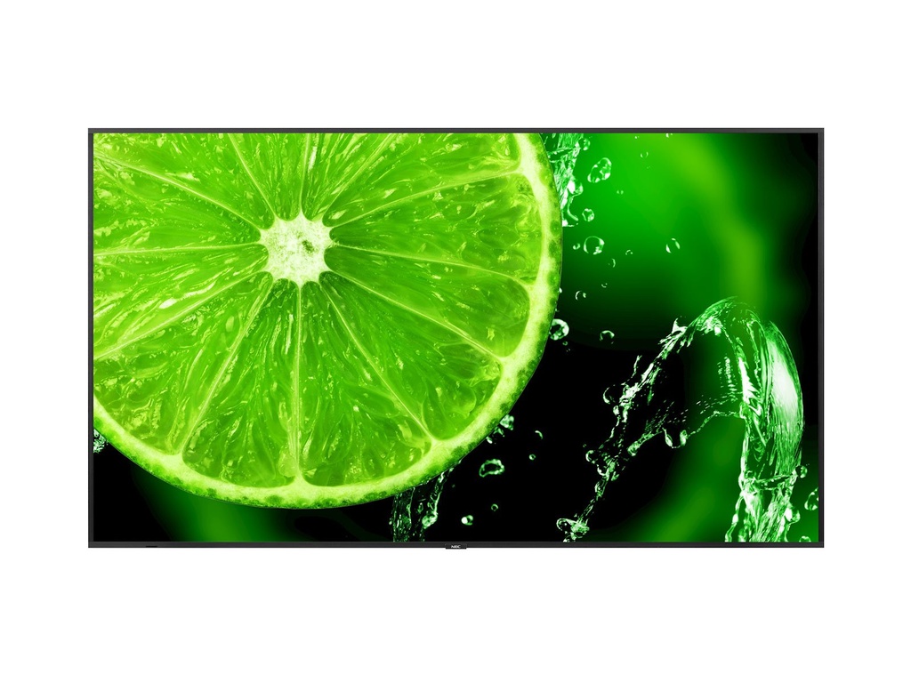 מסך מקצועי 65 אינטש NEC E658