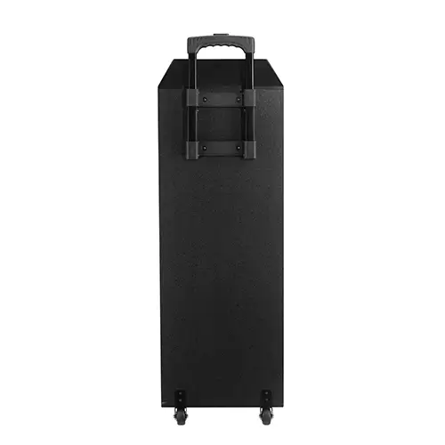  בידורית קריוקי‎ 2×12″ עם Bluetooth ו–2 מיקרופונים אלחוטיים SmartBox-122 