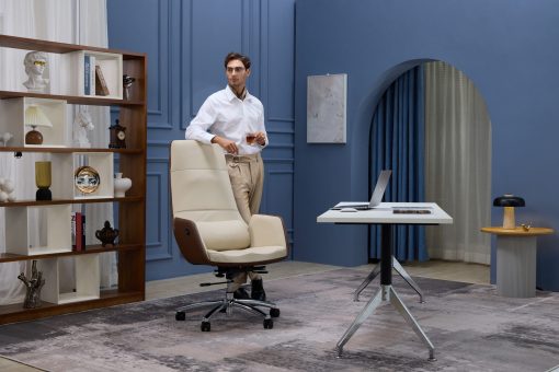  ZenPro Q6 כיסא משרדי עם עיסוי (בז ‘ / חום) 