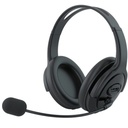  אוזניות למחשב עם מיקרופון Blaupunkt BP-3200PC-C 
