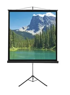 מסך חצובה למקרן 178X178 ס"מ SinoScreen T178